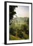 Early Morning View of the Countryside Surrounding the Temple Complex of Borobodur, Java, Indonesia-Michael Runkel-Framed Photographic Print