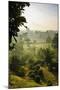 Early Morning View of the Countryside Surrounding the Temple Complex of Borobodur, Java, Indonesia-Michael Runkel-Mounted Photographic Print