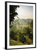 Early Morning View of the Countryside Surrounding the Temple Complex of Borobodur, Java, Indonesia-Michael Runkel-Framed Photographic Print