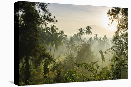 Early Morning View of the Countryside Surrounding the Temple Complex of Borobodur, Java, Indonesia-Michael Runkel-Stretched Canvas