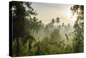 Early Morning View of the Countryside Surrounding the Temple Complex of Borobodur, Java, Indonesia-Michael Runkel-Stretched Canvas