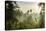 Early Morning View of the Countryside Surrounding the Temple Complex of Borobodur, Java, Indonesia-Michael Runkel-Stretched Canvas