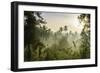 Early Morning View of the Countryside Surrounding the Temple Complex of Borobodur, Java, Indonesia-Michael Runkel-Framed Photographic Print