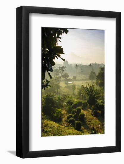 Early Morning View of the Countryside Surrounding the Temple Complex of Borobodur, Java, Indonesia-Michael Runkel-Framed Photographic Print