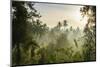 Early Morning View of the Countryside Surrounding the Temple Complex of Borobodur, Java, Indonesia-Michael Runkel-Mounted Photographic Print