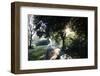 Early morning walk all around the Obersee in Bielefeld.-Nadja Jacke-Framed Photographic Print