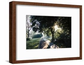 Early morning walk all around the Obersee in Bielefeld.-Nadja Jacke-Framed Photographic Print