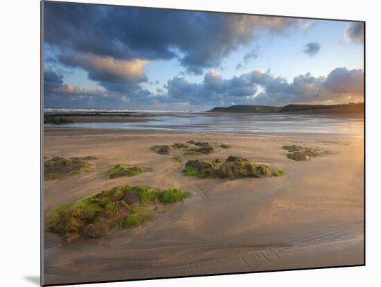 Early Morning, Widemouth Bay, Cornwall, England, United Kingdom, Europe-Chris Hepburn-Mounted Photographic Print