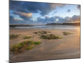 Early Morning, Widemouth Bay, Cornwall, England, United Kingdom, Europe-Chris Hepburn-Mounted Photographic Print