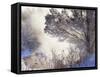 Early Morning Winter Frost Near River, Wisconsin, USA-Larry Michael-Framed Stretched Canvas