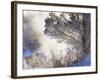 Early Morning Winter Frost Near River, Wisconsin, USA-Larry Michael-Framed Photographic Print