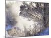 Early Morning Winter Frost Near River, Wisconsin, USA-Larry Michael-Mounted Photographic Print