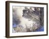 Early Morning Winter Frost Near River, Wisconsin, USA-Larry Michael-Framed Photographic Print