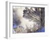 Early Morning Winter Frost Near River, Wisconsin, USA-Larry Michael-Framed Photographic Print