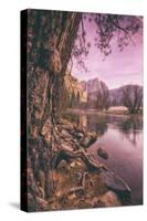 Early Morning Yosemite Falls Reflection, Yosemite Valley-Vincent James-Stretched Canvas