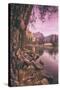 Early Morning Yosemite Falls Reflection, Yosemite Valley-Vincent James-Stretched Canvas