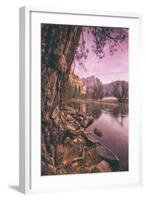 Early Morning Yosemite Falls Reflection, Yosemite Valley-Vincent James-Framed Photographic Print