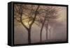 Early Morning-Cora Niele-Framed Stretched Canvas