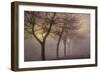 Early Morning-Cora Niele-Framed Photographic Print