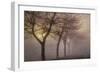 Early Morning-Cora Niele-Framed Photographic Print