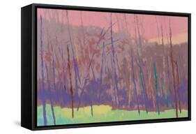 Early Morning-Mike Kelly-Framed Stretched Canvas