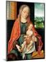 Early Netherlandish Art : the Virgin and Child Par Cleve, Joos Van (Ca. 1485-1540), Ca 1530. Oil On-Joos van Cleve-Mounted Giclee Print