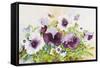 Early Pansies-Joanne Porter-Framed Stretched Canvas