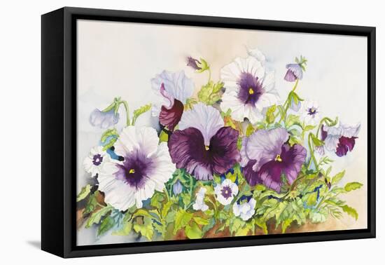 Early Pansies-Joanne Porter-Framed Stretched Canvas