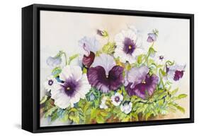 Early Pansies-Joanne Porter-Framed Stretched Canvas