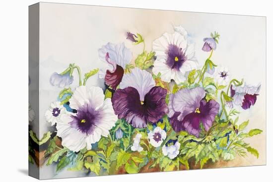 Early Pansies-Joanne Porter-Stretched Canvas