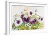 Early Pansies-Joanne Porter-Framed Giclee Print