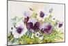 Early Pansies-Joanne Porter-Mounted Giclee Print