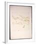 EARLY PRINTS 315238 (print)-Ralph Steadman-Framed Giclee Print