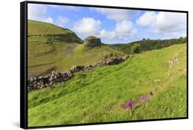 Early Purple Orchids (Orchis Mascula) and Peter's Rock, Cressbrook Dale Nature Reserve in May-Eleanor Scriven-Framed Stretched Canvas