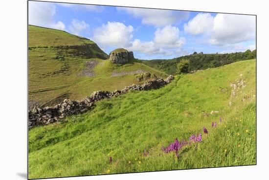 Early Purple Orchids (Orchis Mascula) and Peter's Rock, Cressbrook Dale Nature Reserve in May-Eleanor Scriven-Mounted Premium Photographic Print