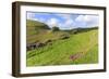 Early Purple Orchids (Orchis Mascula) and Peter's Rock, Cressbrook Dale Nature Reserve in May-Eleanor Scriven-Framed Photographic Print