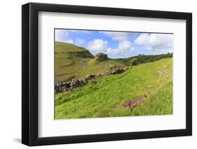 Early Purple Orchids (Orchis Mascula) and Peter's Rock, Cressbrook Dale Nature Reserve in May-Eleanor Scriven-Framed Photographic Print