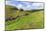 Early Purple Orchids (Orchis Mascula) and Peter's Rock, Cressbrook Dale Nature Reserve in May-Eleanor Scriven-Mounted Photographic Print