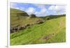 Early Purple Orchids (Orchis Mascula) and Peter's Rock, Cressbrook Dale Nature Reserve in May-Eleanor Scriven-Framed Photographic Print