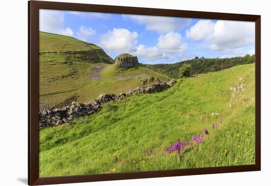 Early Purple Orchids (Orchis Mascula) and Peter's Rock, Cressbrook Dale Nature Reserve in May-Eleanor Scriven-Framed Photographic Print