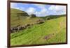 Early Purple Orchids (Orchis Mascula) and Peter's Rock, Cressbrook Dale Nature Reserve in May-Eleanor Scriven-Framed Photographic Print