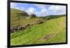 Early Purple Orchids (Orchis Mascula) and Peter's Rock, Cressbrook Dale Nature Reserve in May-Eleanor Scriven-Framed Photographic Print