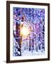 Early Riser-Mandy Budan-Framed Giclee Print