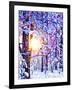 Early Riser-Mandy Budan-Framed Giclee Print