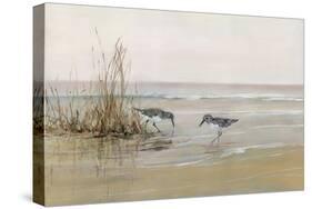 Early Risers I-Sally Swatland-Stretched Canvas