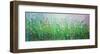 Early September-Sandy Dooley-Framed Art Print