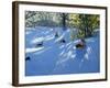 Early Snow, Darley Park, Derby-Andrew Macara-Framed Giclee Print