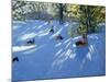 Early Snow, Darley Park, Derby-Andrew Macara-Mounted Giclee Print