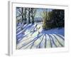 Early Snow, Darley Park-Andrew Macara-Framed Giclee Print