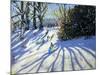 Early Snow, Darley Park-Andrew Macara-Mounted Giclee Print